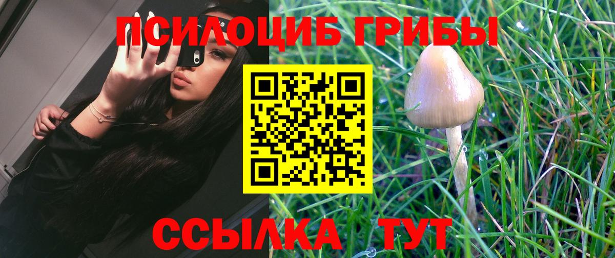 Галлюциногенные грибы Magic Shrooms  Вход с VPN  закладка  Тобольск  Псилоцибиновые грибы мицелий 